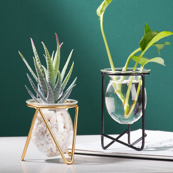 Hydroponic Plant Vase Glass